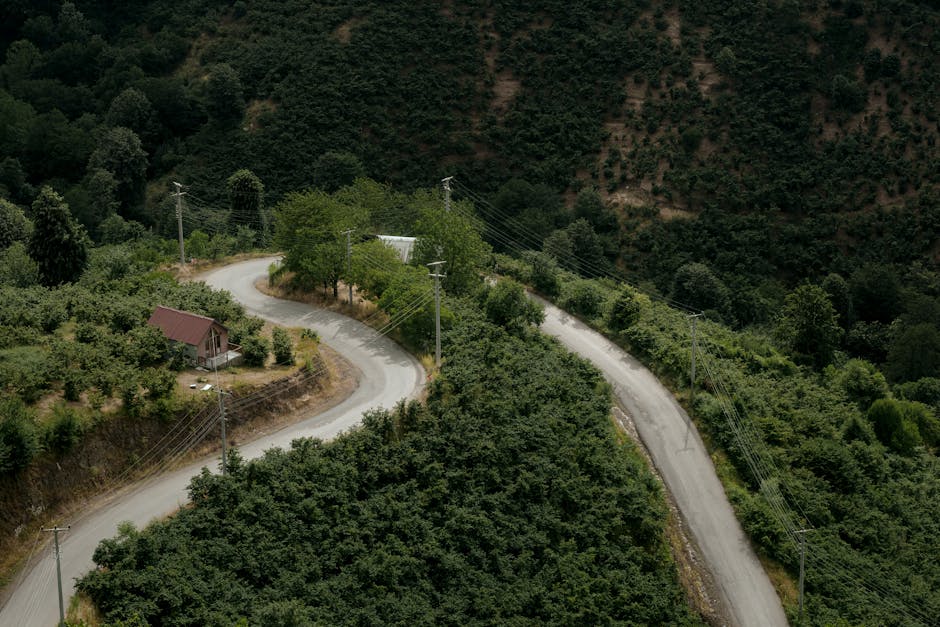 Načrt za pobeg iz mesta v hišico na deželi