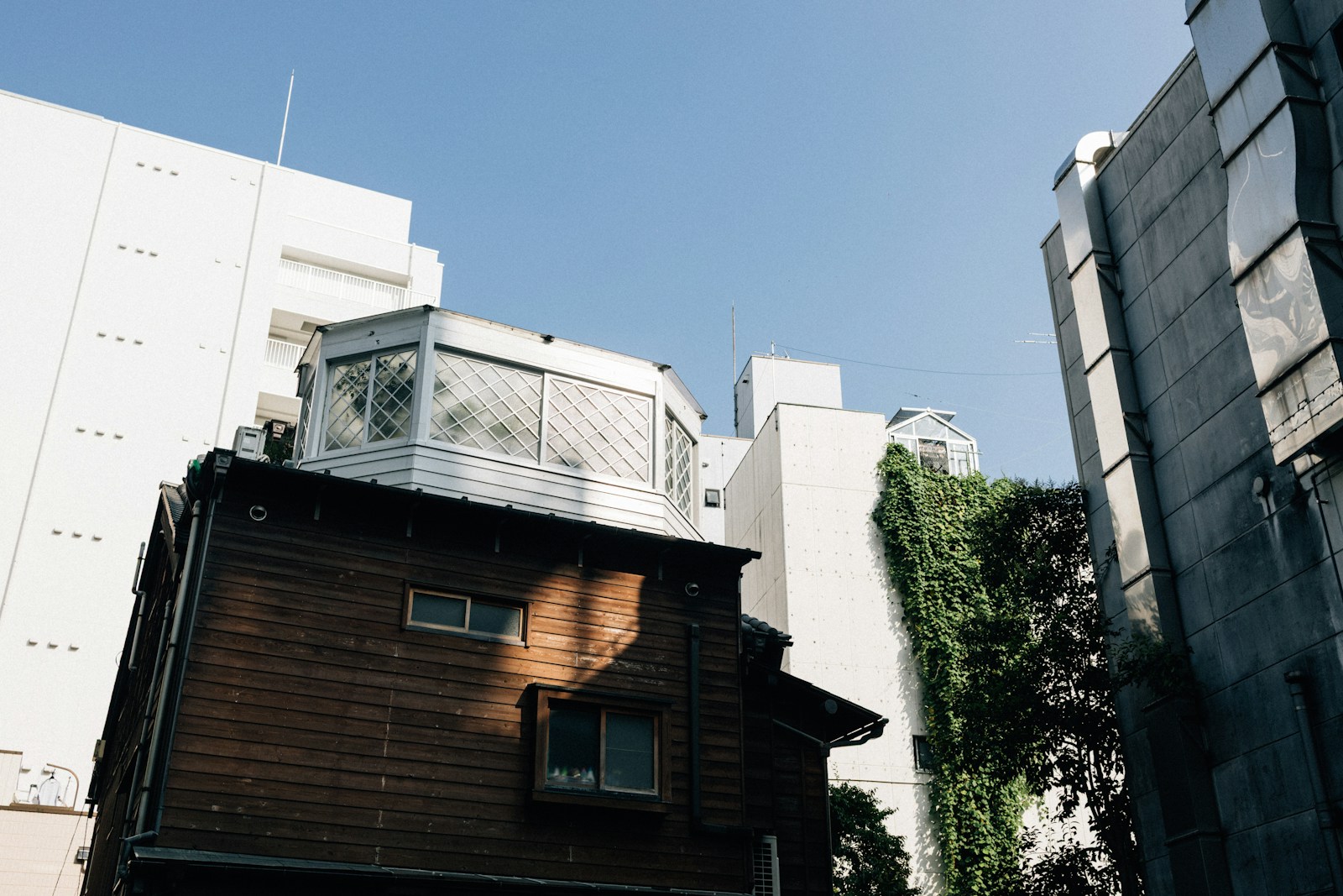 Skrivnosti Starih Zidov in Nova Prihodnost